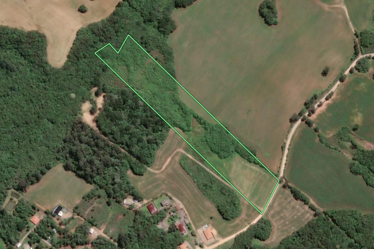 Imagem de satélite do imóvel rural em Fazenda Rio Grande (PR), com o contorno declarado no CAR desenhado por cima.