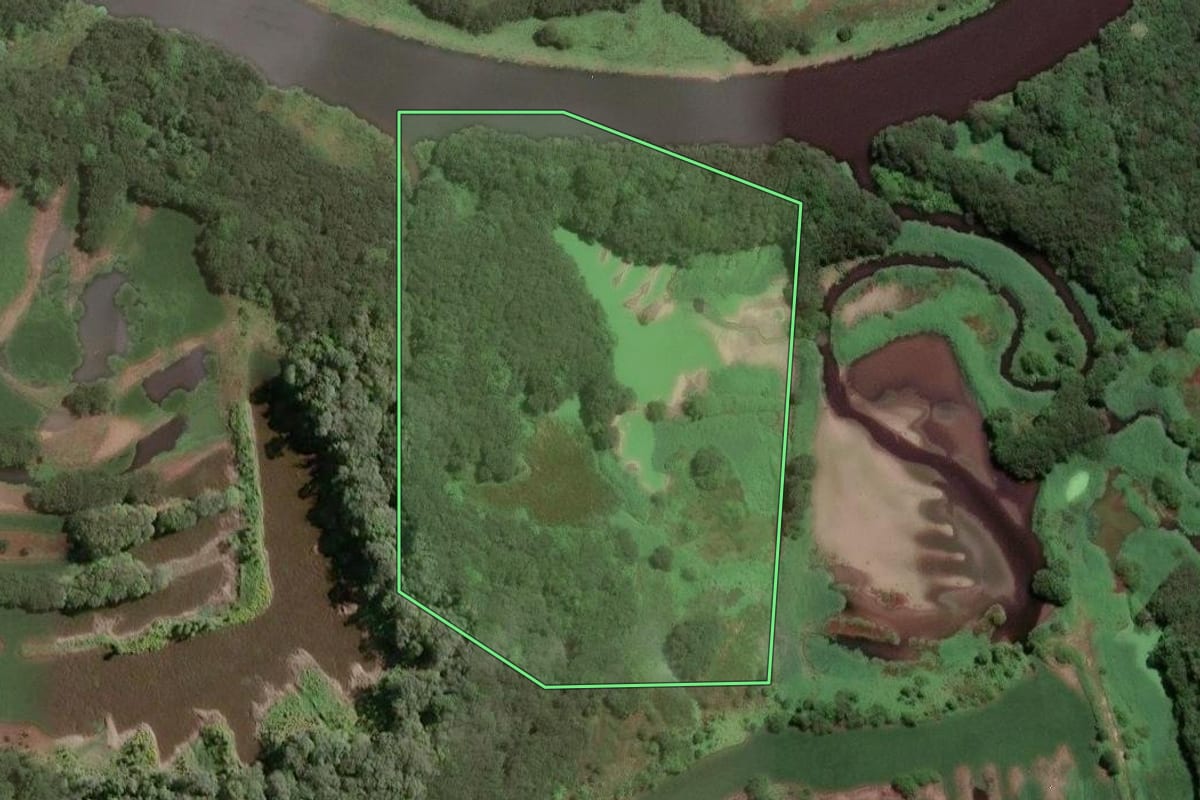 Imagem de satélite do imóvel rural em Fazenda Rio Grande (PR), com o contorno declarado no CAR desenhado por cima.