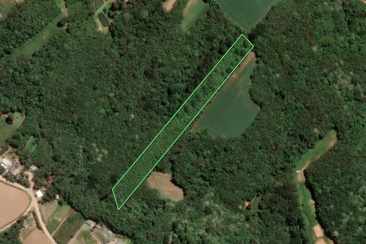 Imagem de satélite do imóvel rural em Fazenda Rio Grande (PR), com o contorno declarado no CAR desenhado por cima.