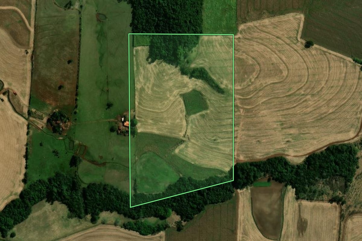 Imagem de satélite do imóvel rural em Fênix (PR), com o contorno declarado no CAR desenhado por cima.