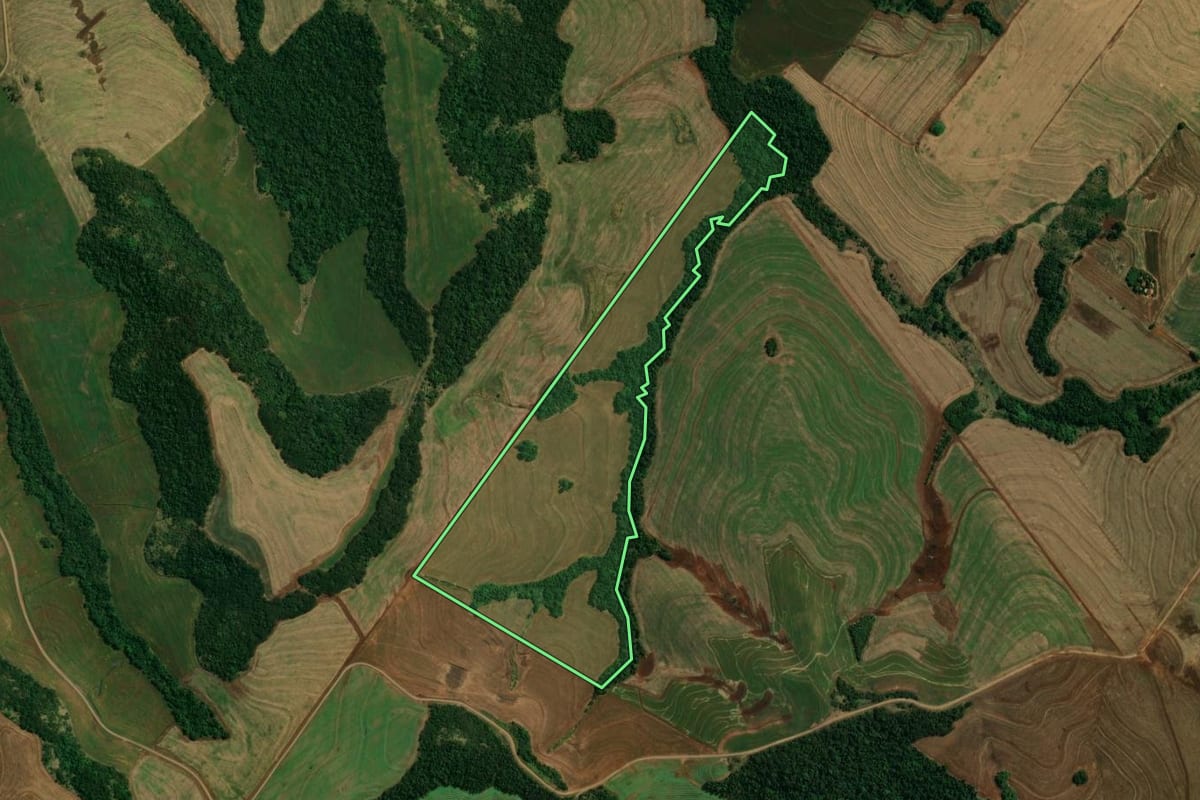 Imagem de satélite do imóvel rural em Fênix (PR), com o contorno declarado no CAR desenhado por cima.