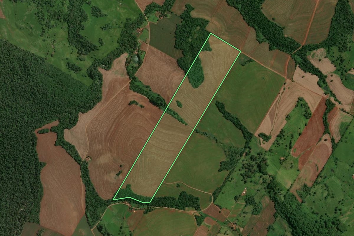 Imagem de satélite do imóvel rural em Fênix (PR), com o contorno declarado no CAR desenhado por cima.