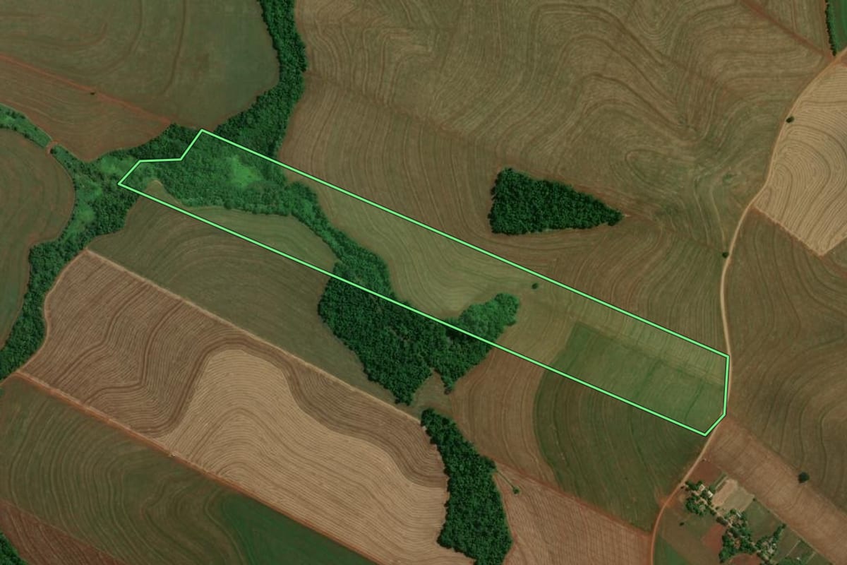 Imagem de satélite do imóvel rural em Fênix (PR), com o contorno declarado no CAR desenhado por cima.