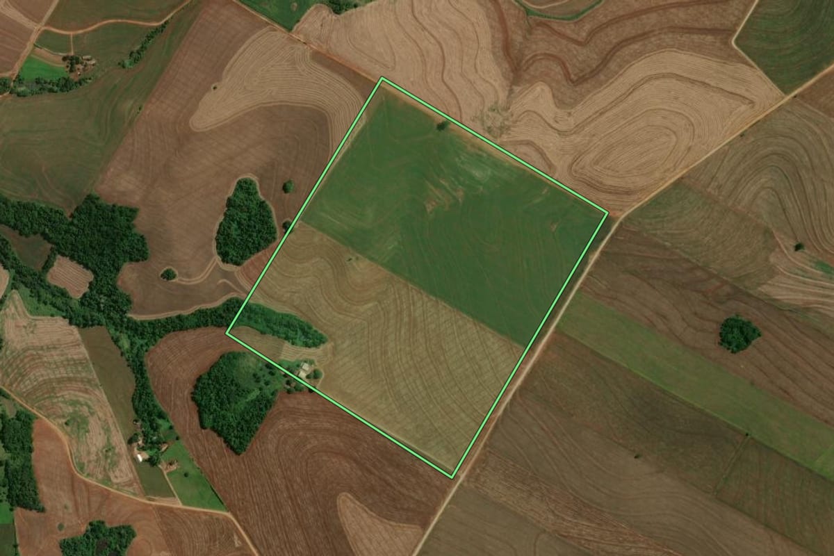 Imagem de satélite do imóvel rural em Fênix (PR), com o contorno declarado no CAR desenhado por cima.