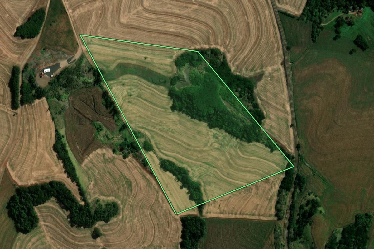 Imagem de satélite do imóvel rural em Fênix (PR), com o contorno declarado no CAR desenhado por cima.