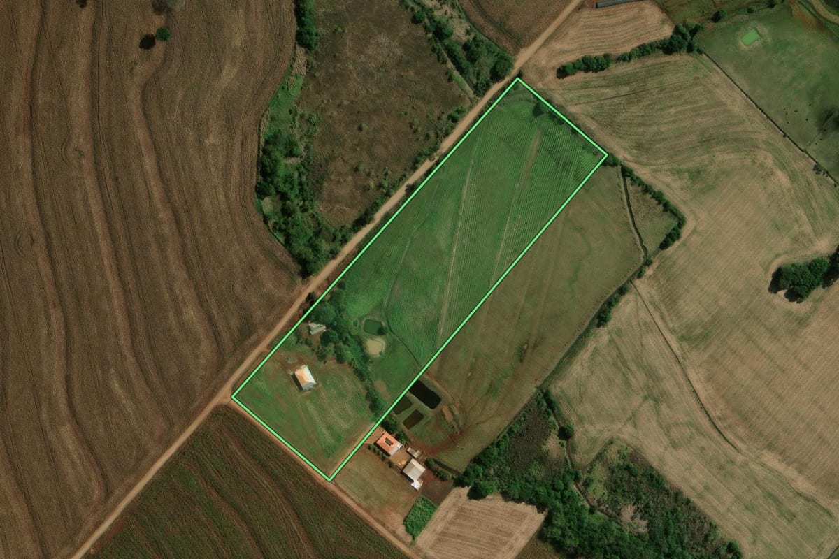 Imagem de satélite do imóvel rural em Fênix (PR), com o contorno declarado no CAR desenhado por cima.