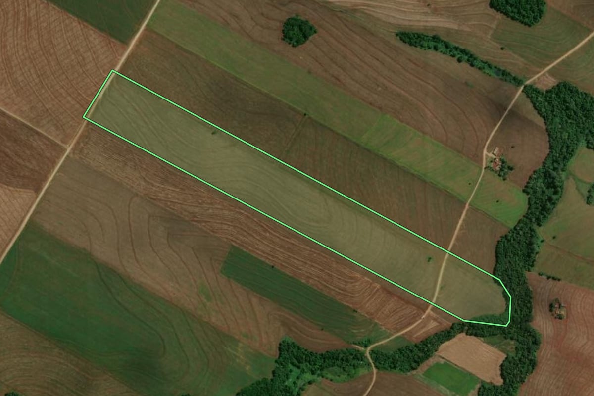 Imagem de satélite do imóvel rural em Fênix (PR), com o contorno declarado no CAR desenhado por cima.