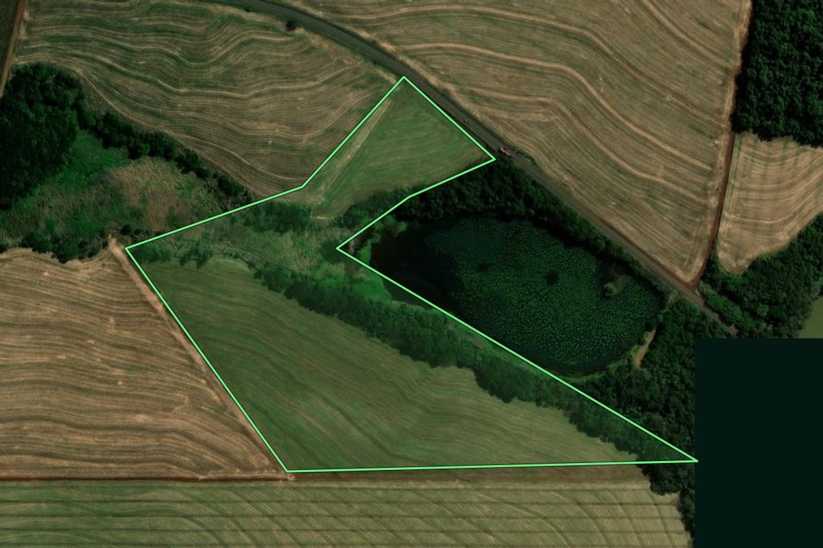 Imagem de satélite do imóvel rural em Fênix (PR), com o contorno declarado no CAR desenhado por cima.