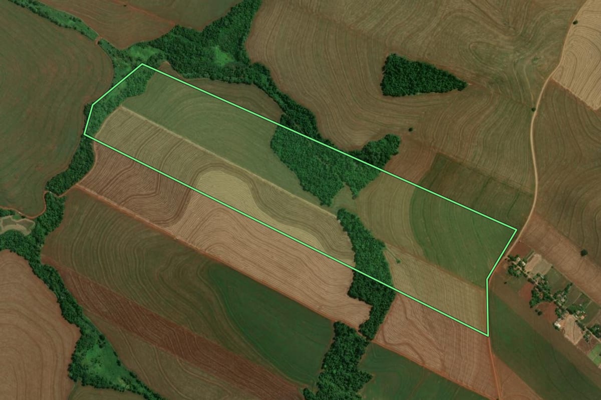 Imagem de satélite do imóvel rural em Fênix (PR), com o contorno declarado no CAR desenhado por cima.