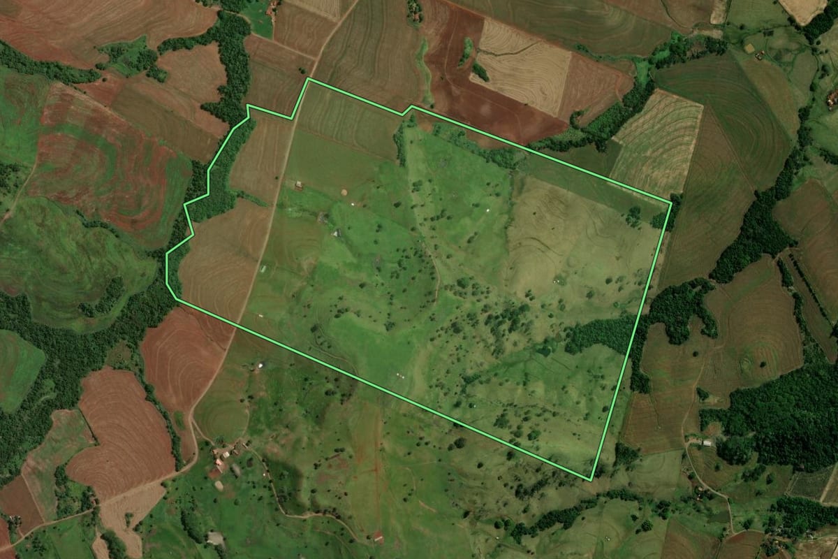 Imagem de satélite do imóvel rural em Fênix (PR), com o contorno declarado no CAR desenhado por cima.