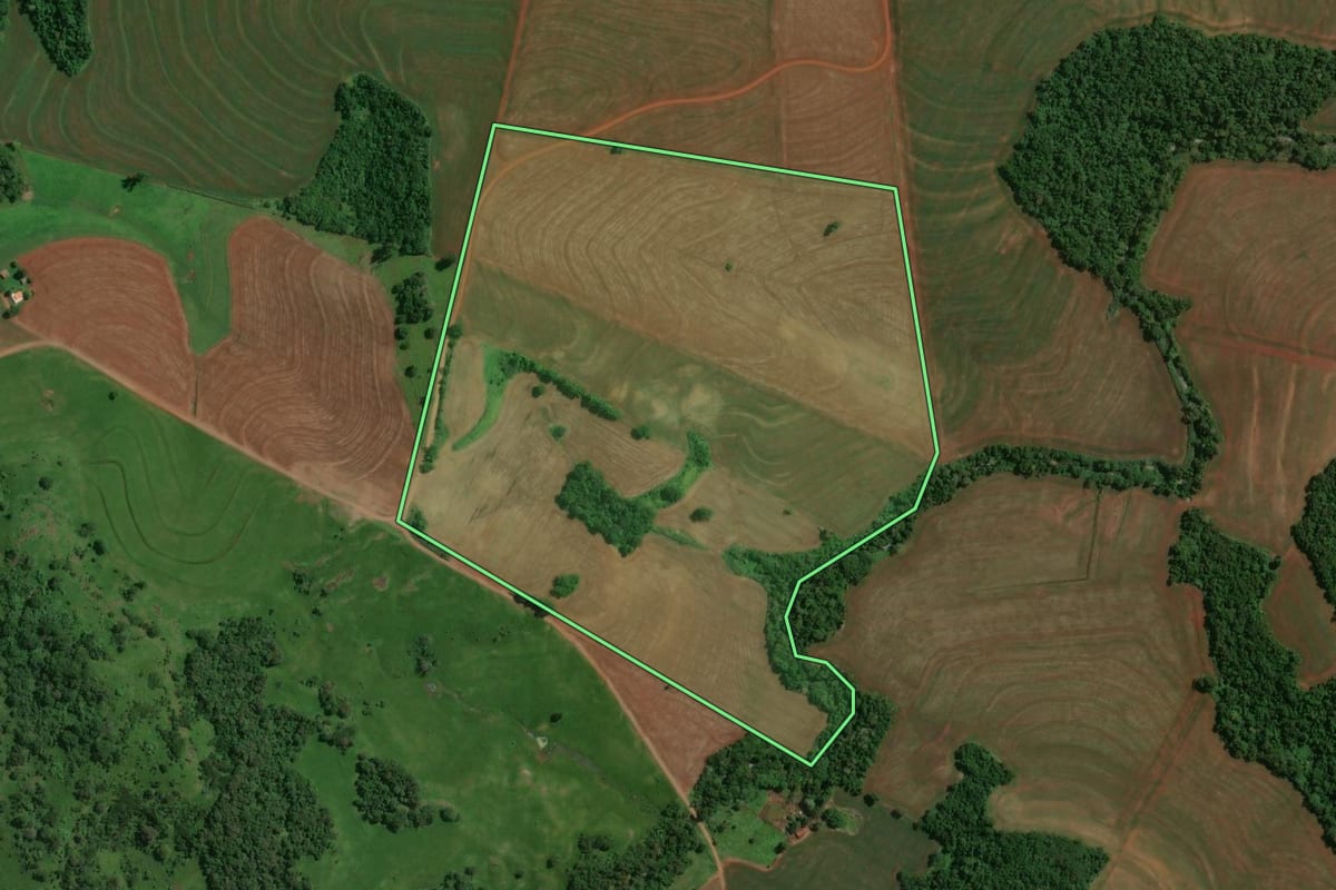 Imagem de satélite do imóvel rural em Fênix (PR), com o contorno declarado no CAR desenhado por cima.