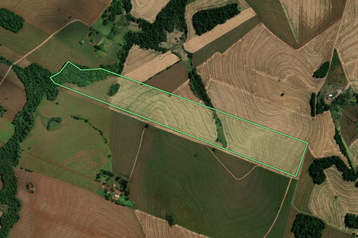 Imagem de satélite do imóvel rural em Fênix (PR), com o contorno declarado no CAR desenhado por cima.