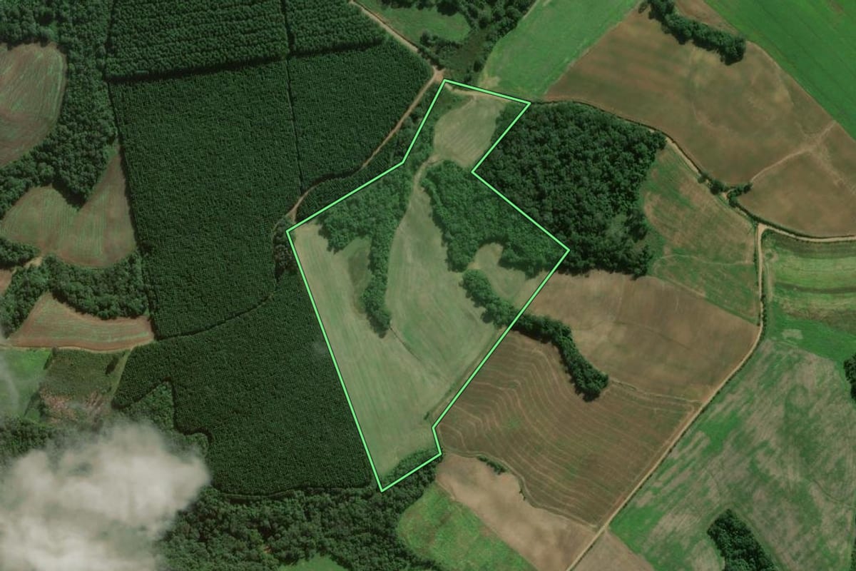 Imagem de satélite do imóvel rural em Fernandes Pinheiro (PR), com o contorno declarado no CAR desenhado por cima.