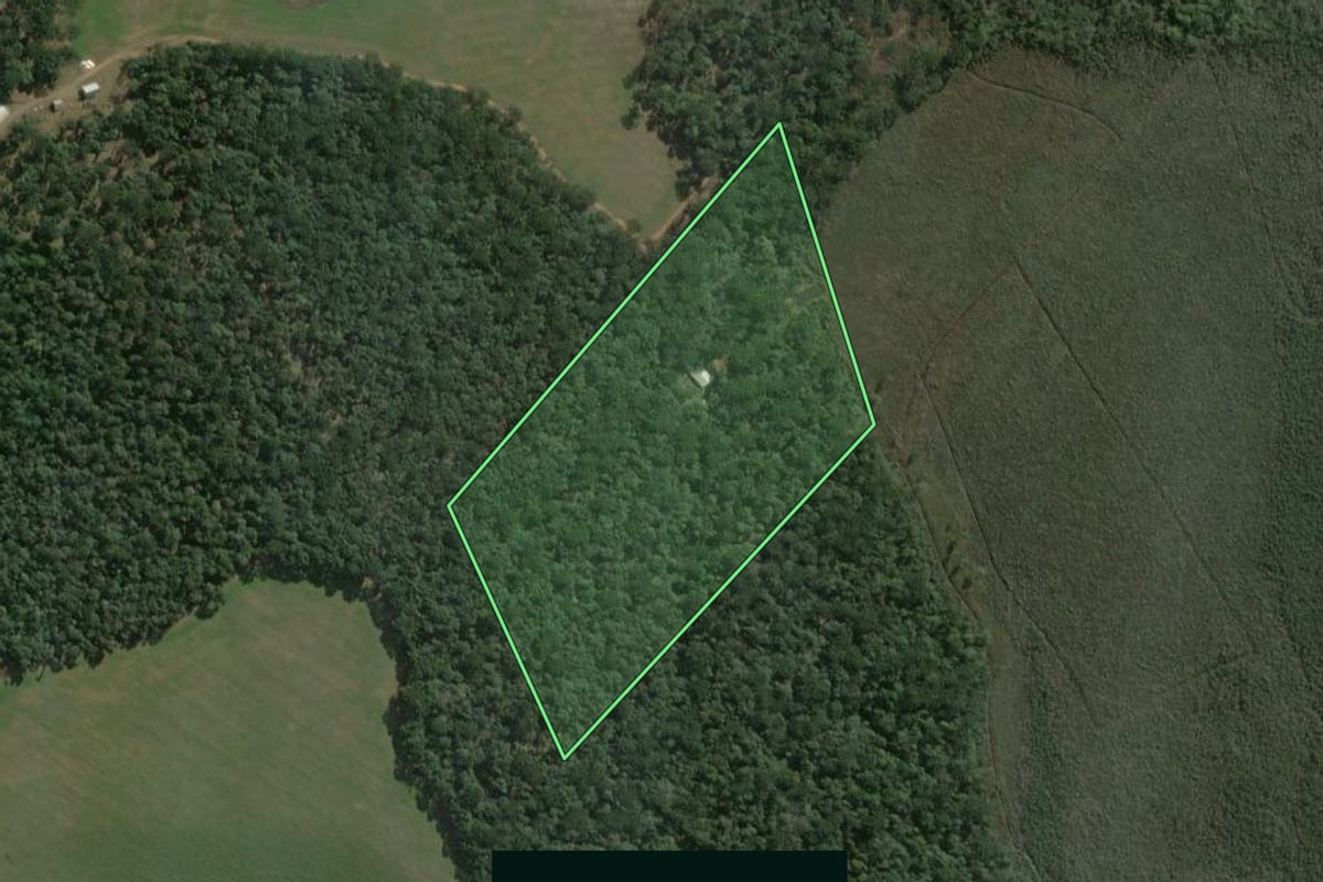 Imagem de satélite do imóvel rural em Fernandes Pinheiro (PR), com o contorno declarado no CAR desenhado por cima.