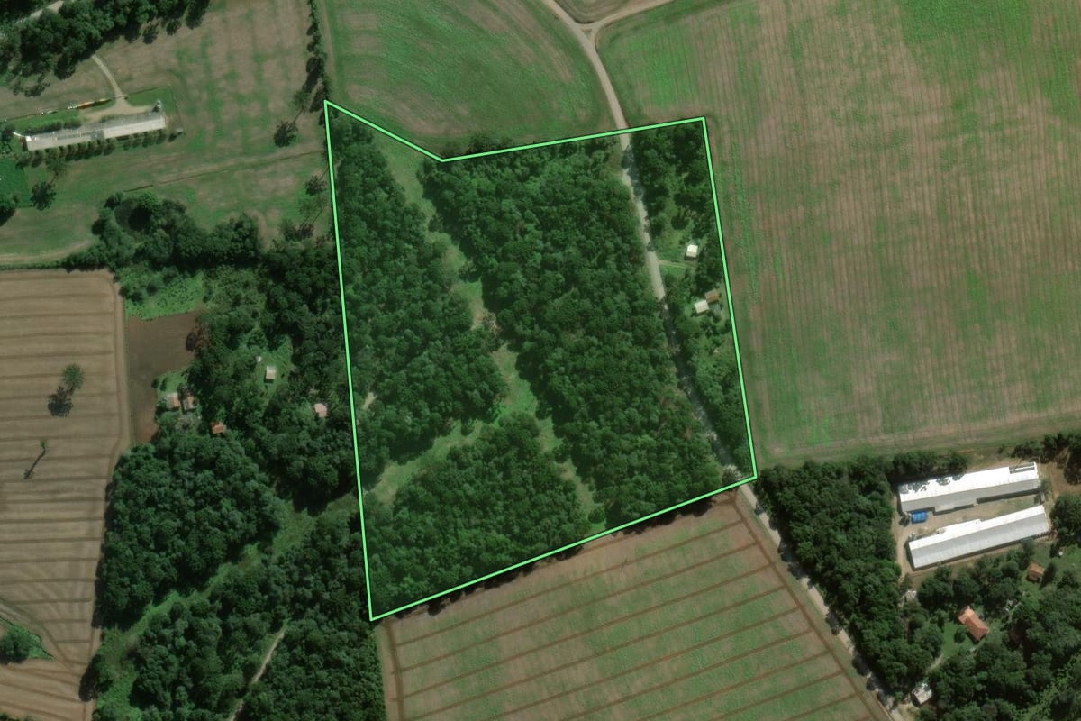 Imagem de satélite do imóvel rural em Fernandes Pinheiro (PR), com o contorno declarado no CAR desenhado por cima.