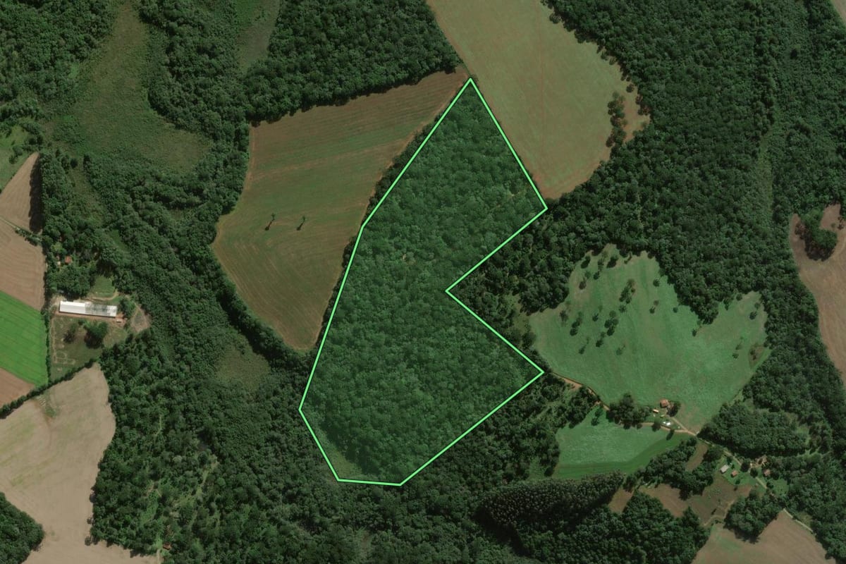 Imagem de satélite do imóvel rural em Fernandes Pinheiro (PR), com o contorno declarado no CAR desenhado por cima.