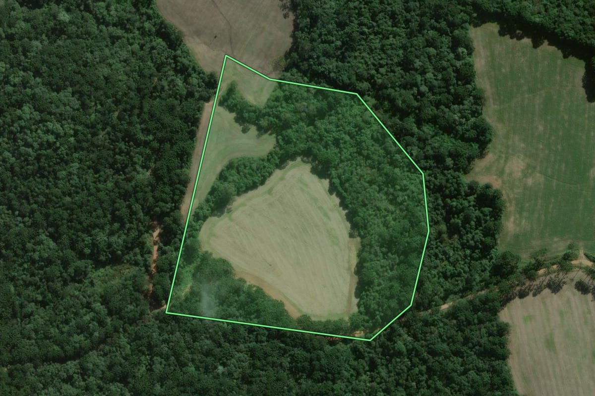 Imagem de satélite do imóvel rural em Fernandes Pinheiro (PR), com o contorno declarado no CAR desenhado por cima.