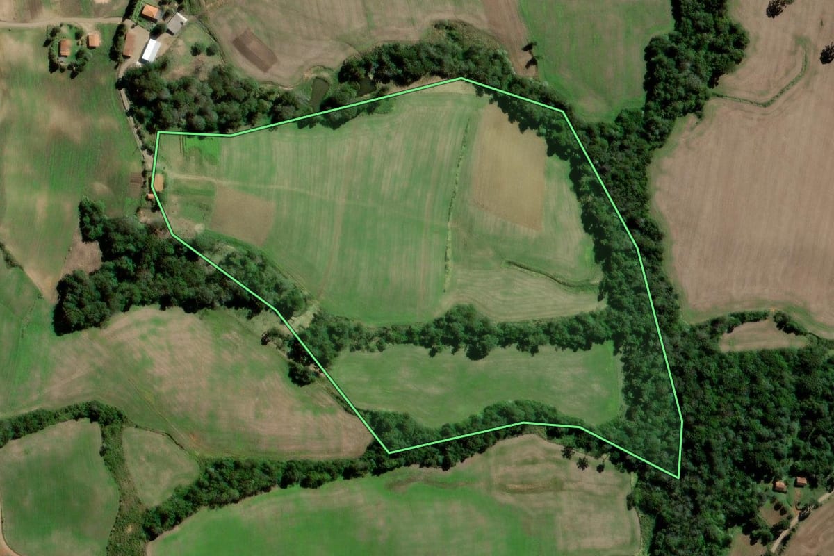 Imagem de satélite do imóvel rural em Fernandes Pinheiro (PR), com o contorno declarado no CAR desenhado por cima.
