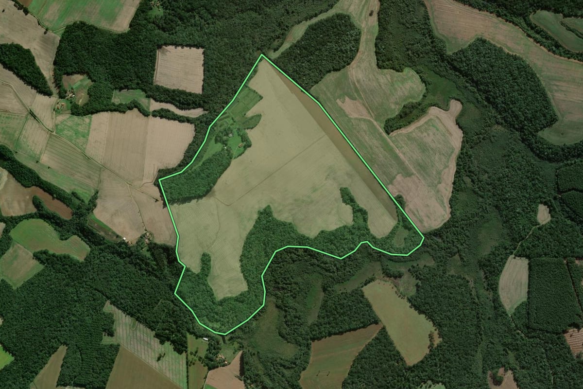 Imagem de satélite do imóvel rural em Fernandes Pinheiro (PR), com o contorno declarado no CAR desenhado por cima.