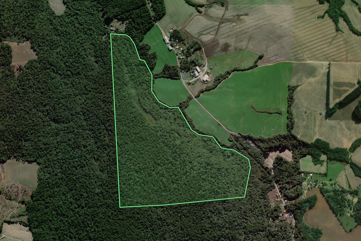 Imagem de satélite do imóvel rural em Fernandes Pinheiro (PR), com o contorno declarado no CAR desenhado por cima.