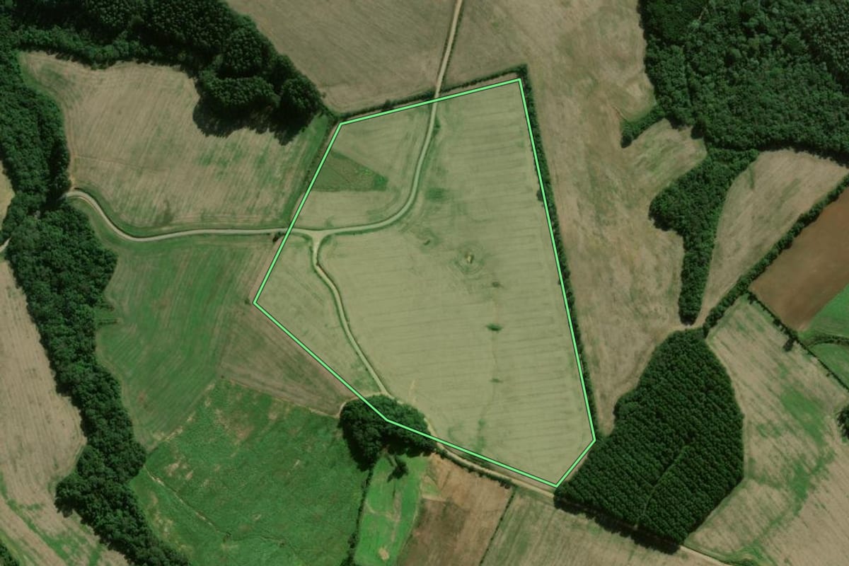 Imagem de satélite do imóvel rural em Fernandes Pinheiro (PR), com o contorno declarado no CAR desenhado por cima.
