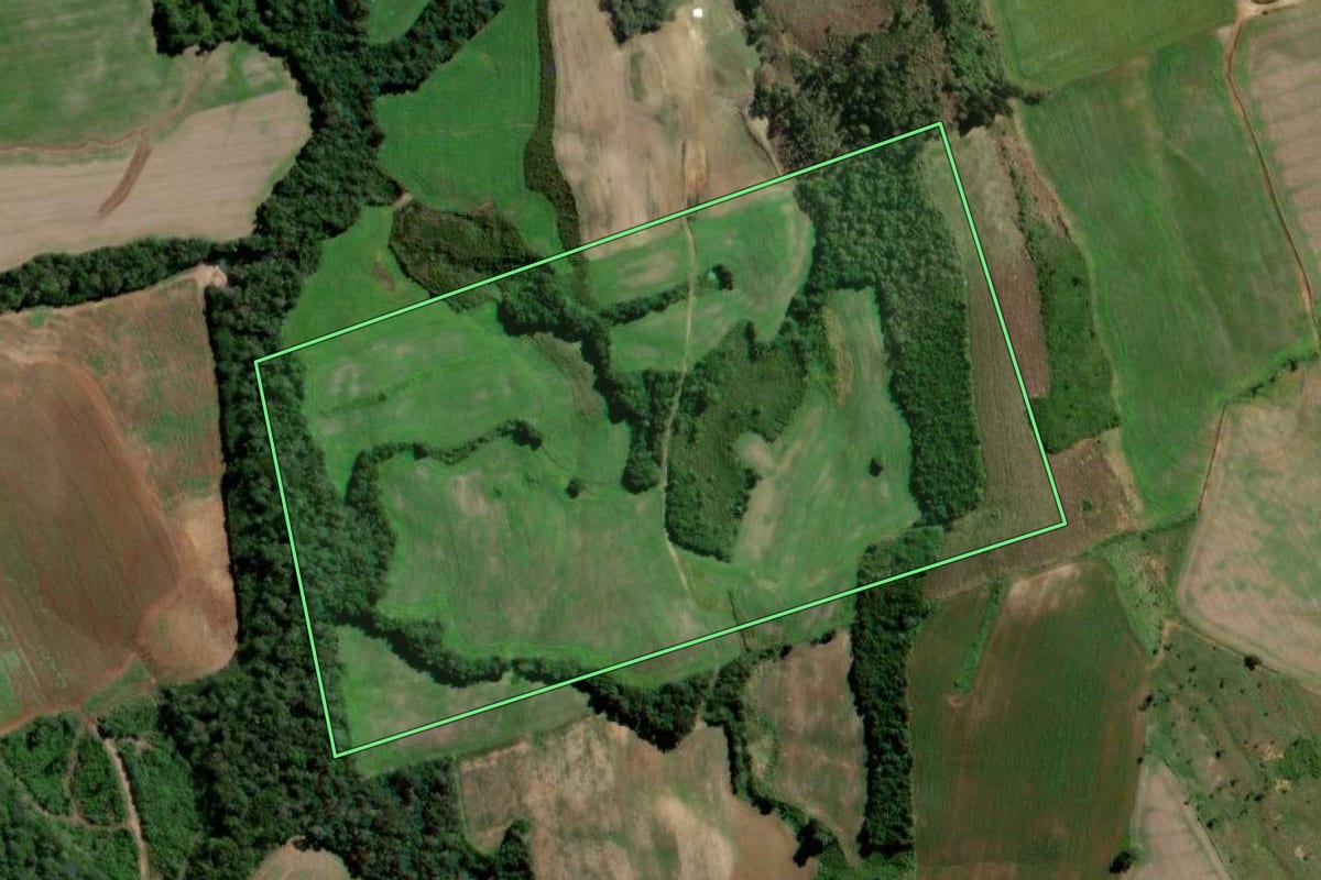 Imagem de satélite do imóvel rural em Fernandes Pinheiro (PR), com o contorno declarado no CAR desenhado por cima.