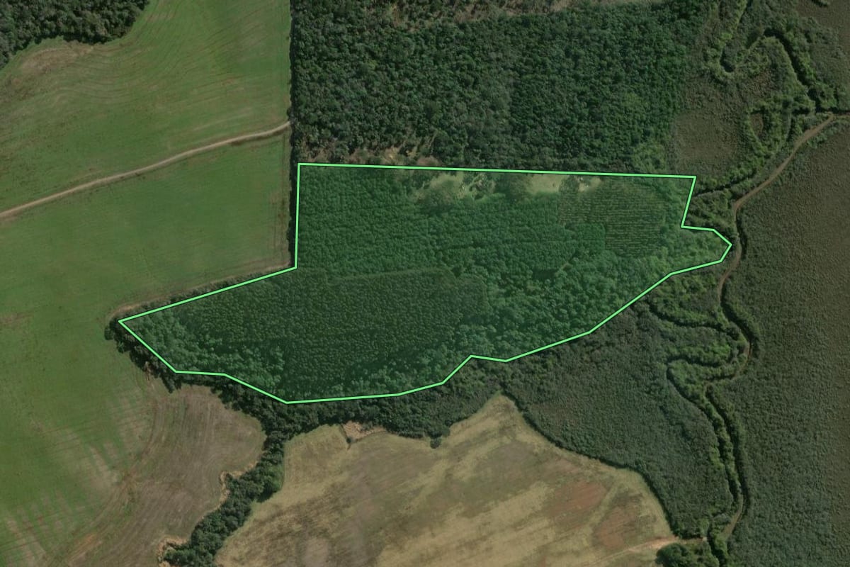 Imagem de satélite do imóvel rural em Fernandes Pinheiro (PR), com o contorno declarado no CAR desenhado por cima.
