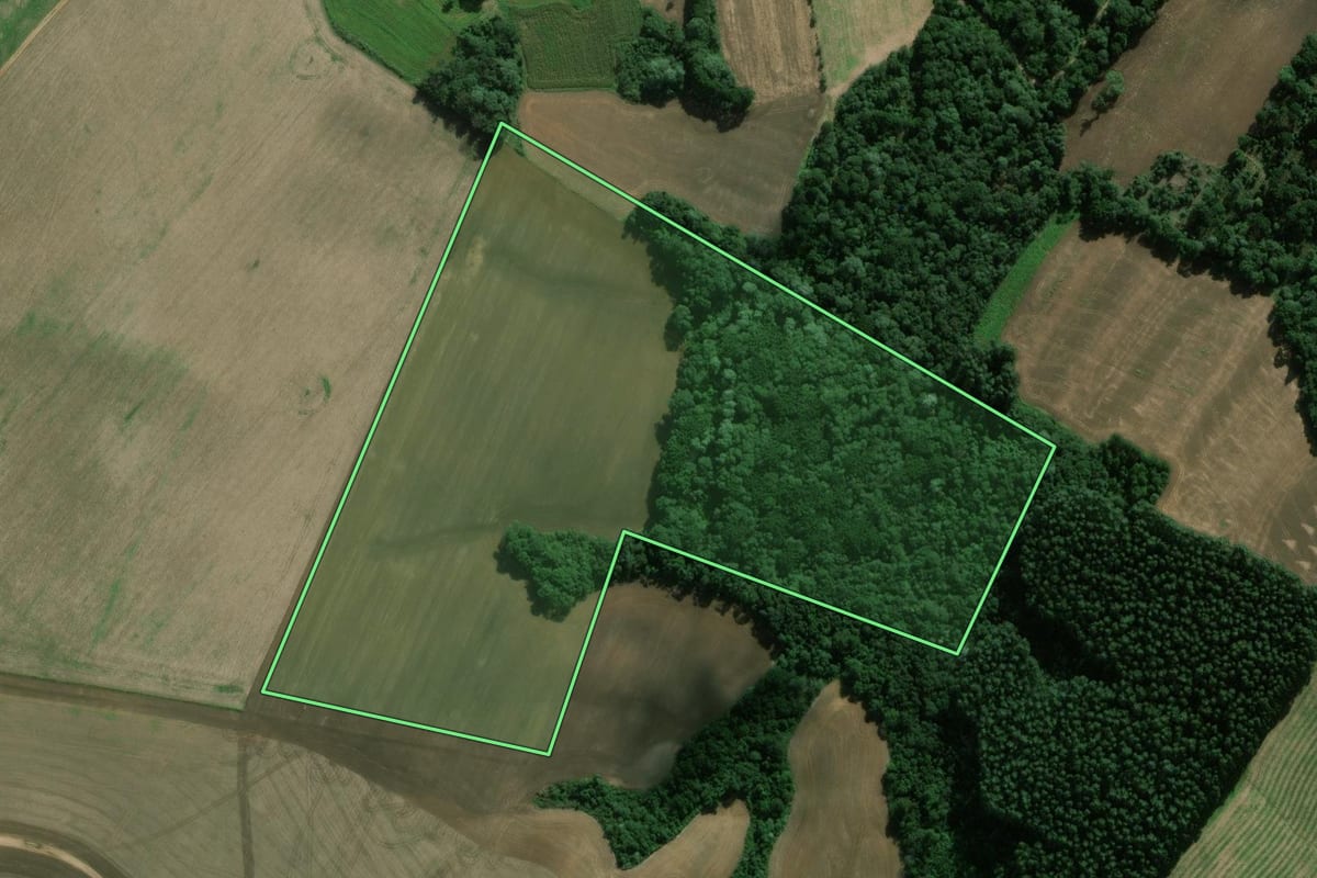 Imagem de satélite do imóvel rural em Fernandes Pinheiro (PR), com o contorno declarado no CAR desenhado por cima.