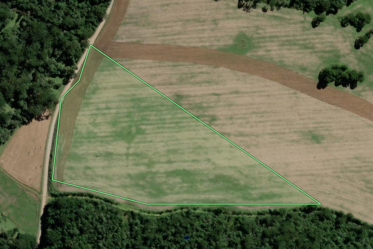 Imagem de satélite do imóvel rural em Fernandes Pinheiro (PR), com o contorno declarado no CAR desenhado por cima.