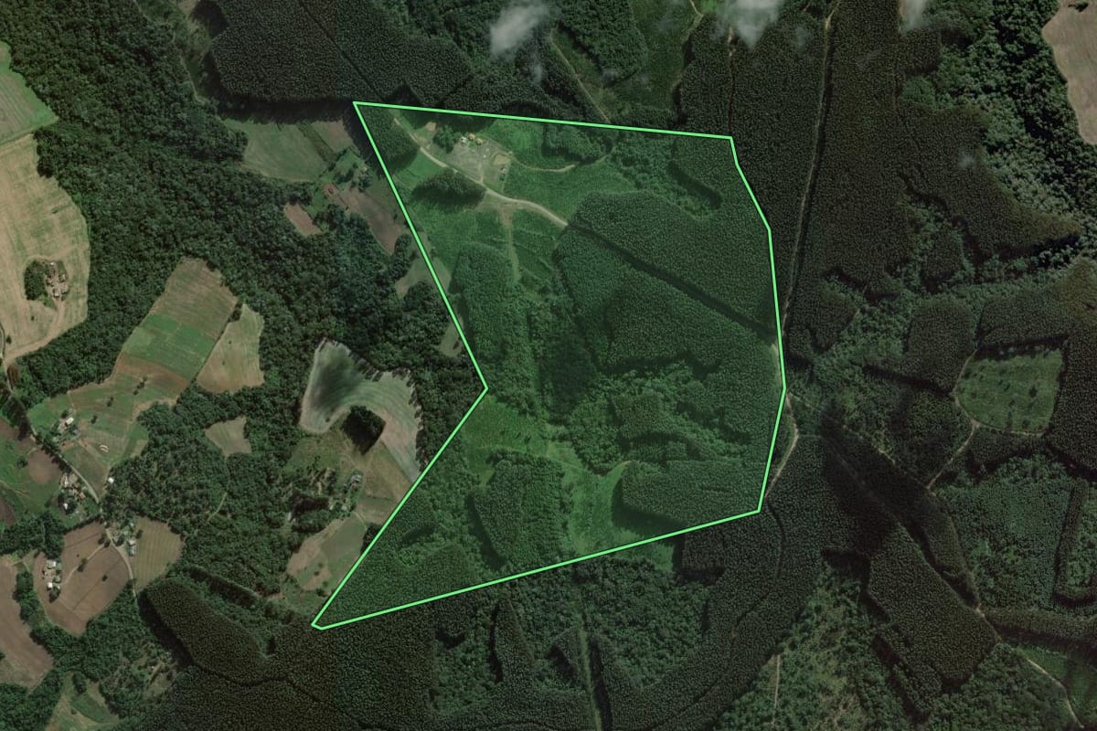 Imagem de satélite do imóvel rural em Fernandes Pinheiro (PR), com o contorno declarado no CAR desenhado por cima.