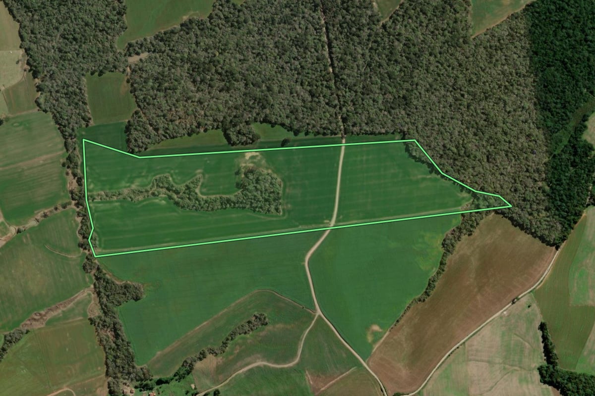 Imagem de satélite do imóvel rural em Fernandes Pinheiro (PR), com o contorno declarado no CAR desenhado por cima.