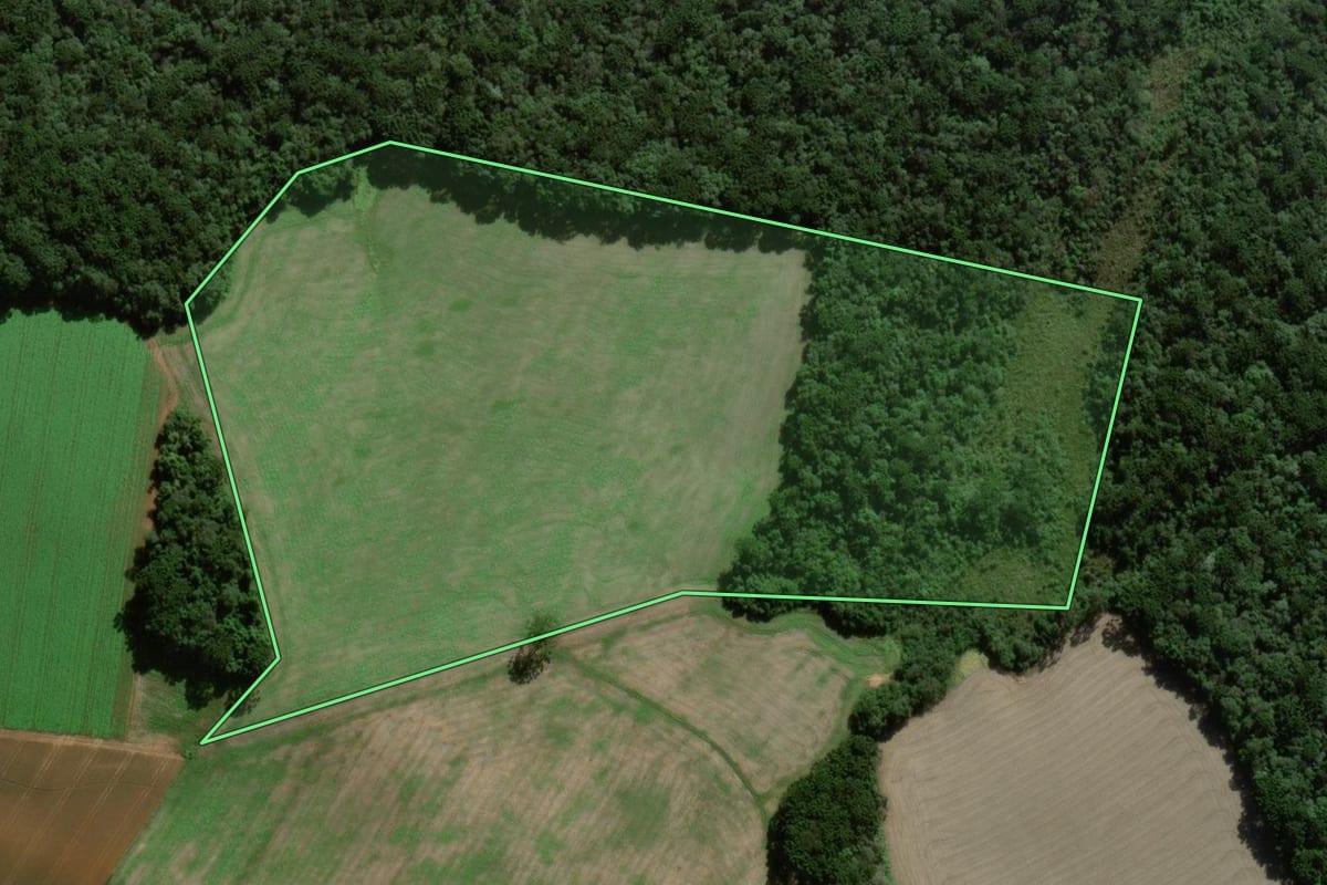 Imagem de satélite do imóvel rural em Fernandes Pinheiro (PR), com o contorno declarado no CAR desenhado por cima.