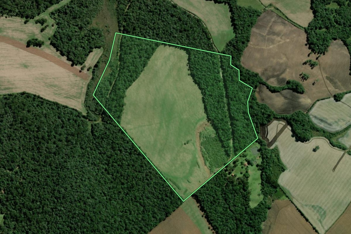 Imagem de satélite do imóvel rural em Fernandes Pinheiro (PR), com o contorno declarado no CAR desenhado por cima.