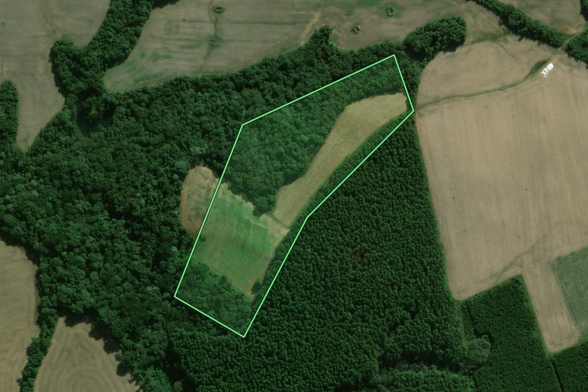 Imagem de satélite do imóvel rural em Fernandes Pinheiro (PR), com o contorno declarado no CAR desenhado por cima.