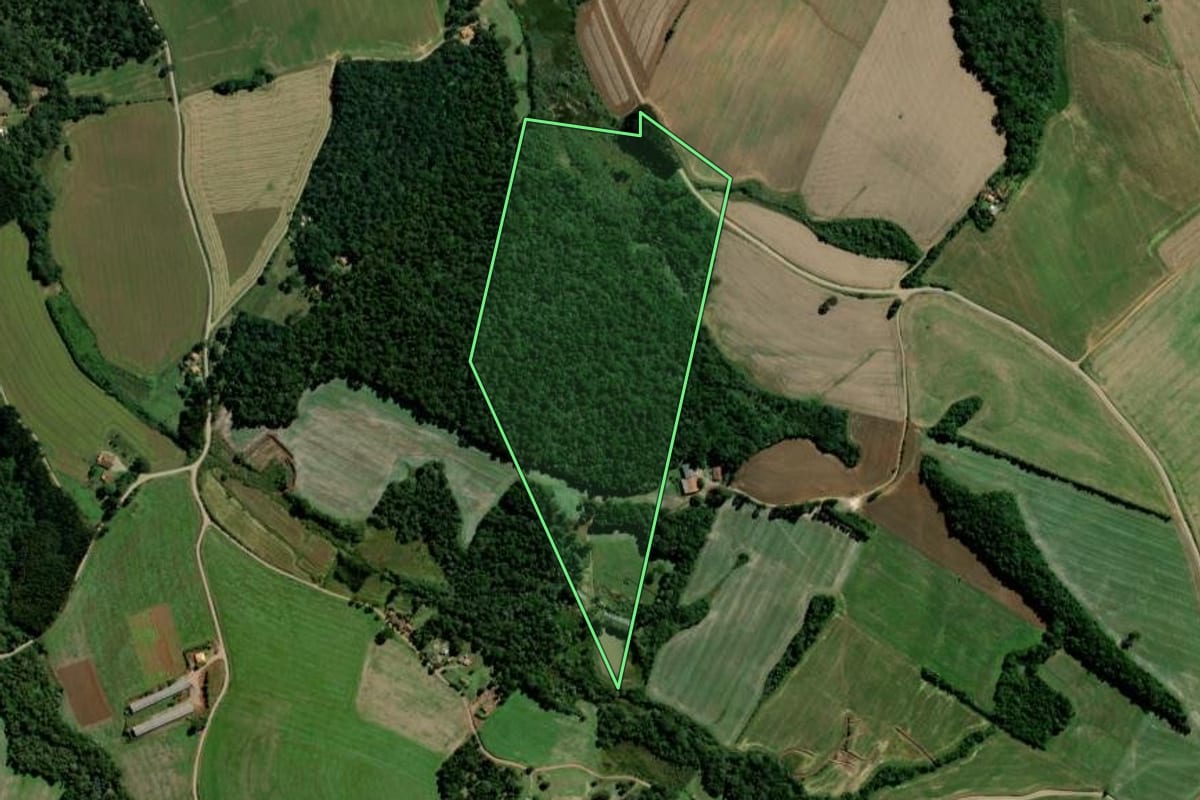 Imagem de satélite do imóvel rural em Fernandes Pinheiro (PR), com o contorno declarado no CAR desenhado por cima.