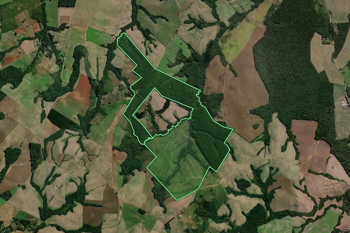 Imagem de satélite do imóvel rural em Fernandes Pinheiro (PR), com o contorno declarado no CAR desenhado por cima.