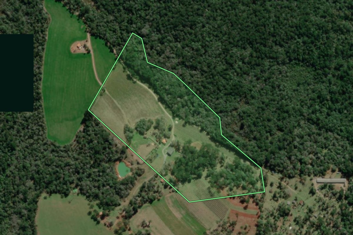 Imagem de satélite do imóvel rural em Fernandes Pinheiro (PR), com o contorno declarado no CAR desenhado por cima.