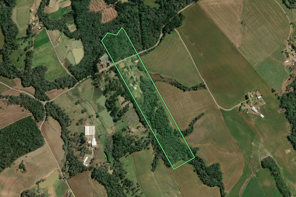 Imagem de satélite do imóvel rural em Fernandes Pinheiro (PR), com o contorno declarado no CAR desenhado por cima.