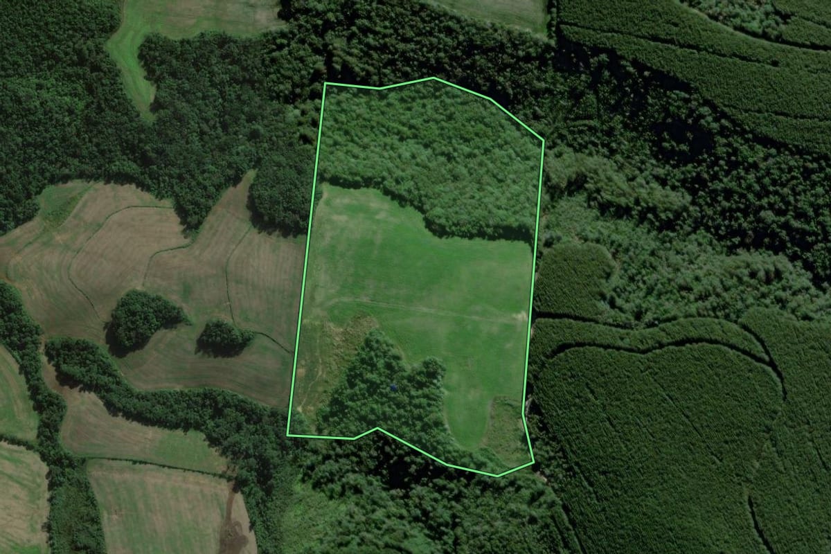 Imagem de satélite do imóvel rural em Fernandes Pinheiro (PR), com o contorno declarado no CAR desenhado por cima.