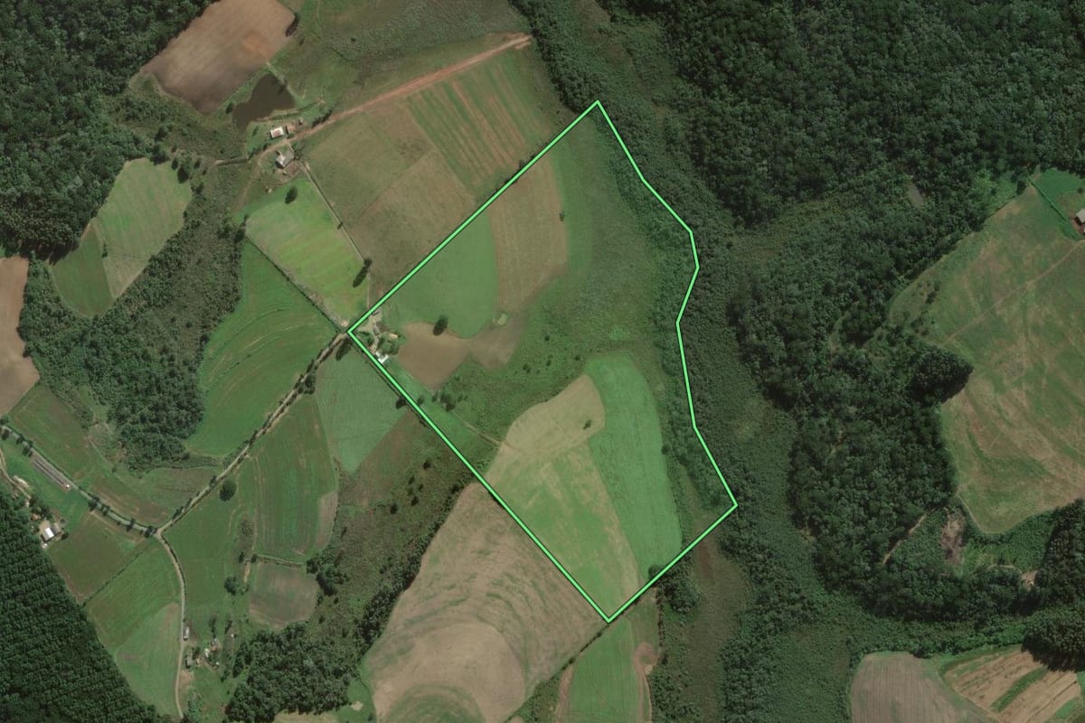 Imagem de satélite do imóvel rural em Fernandes Pinheiro (PR), com o contorno declarado no CAR desenhado por cima.
