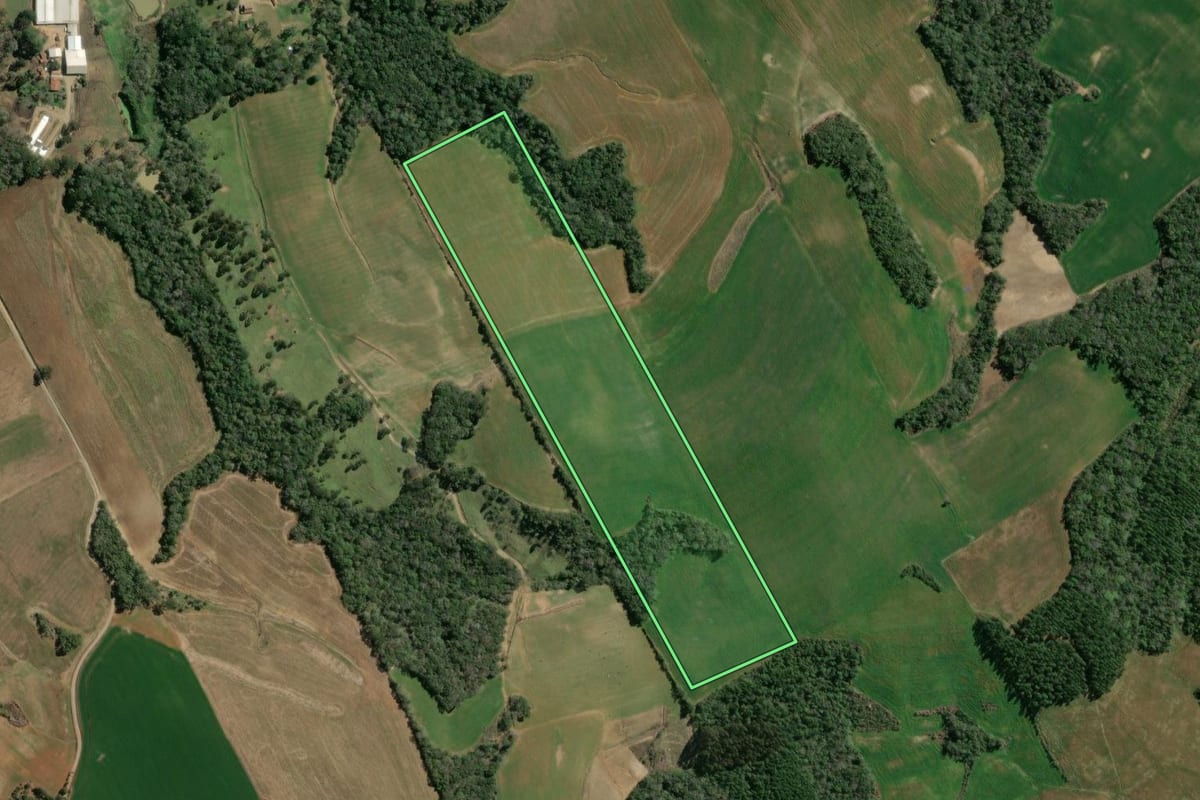 Imagem de satélite do imóvel rural em Fernandes Pinheiro (PR), com o contorno declarado no CAR desenhado por cima.