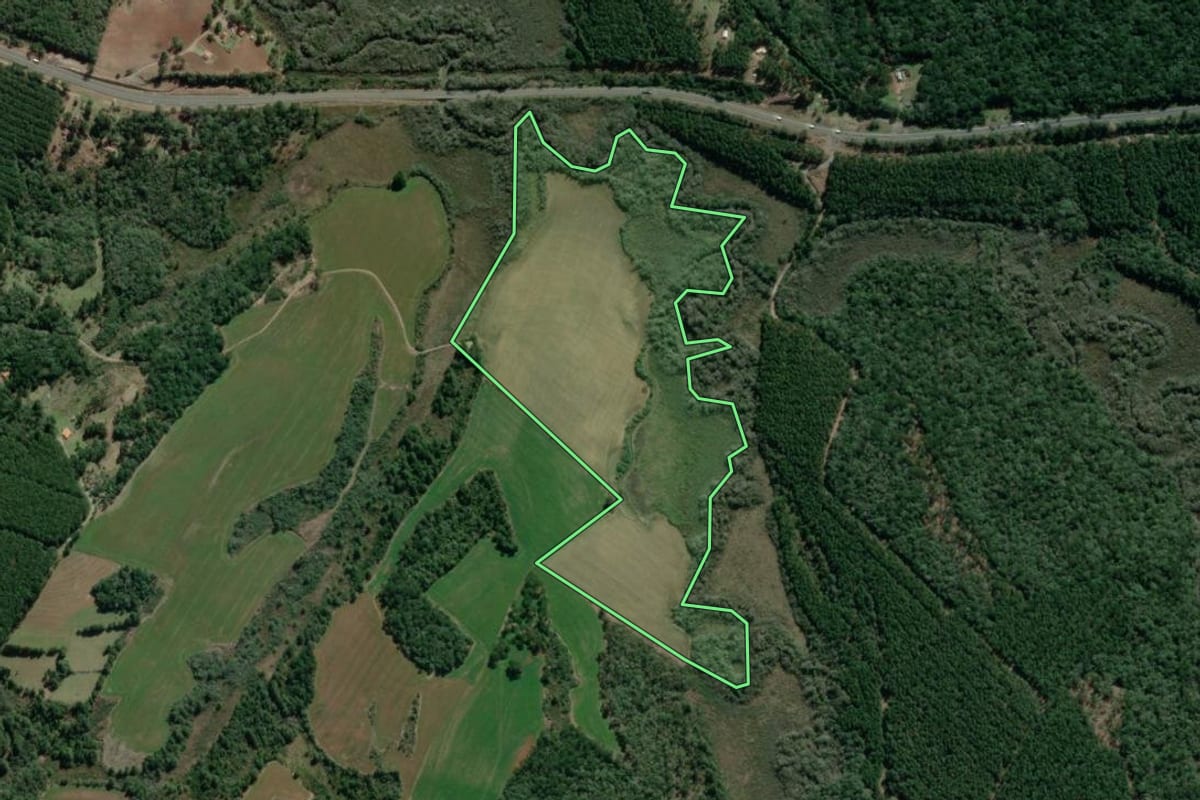 Imagem de satélite do imóvel rural em Fernandes Pinheiro (PR), com o contorno declarado no CAR desenhado por cima.