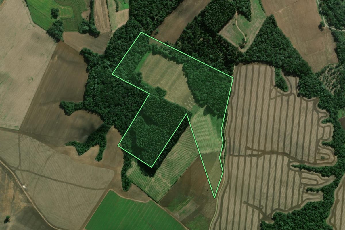 Imagem de satélite do imóvel rural em Fernandes Pinheiro (PR), com o contorno declarado no CAR desenhado por cima.