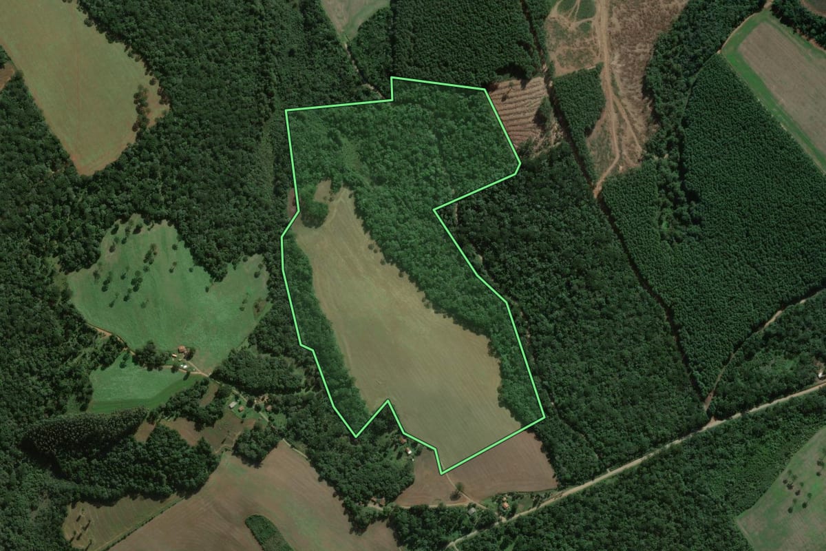 Imagem de satélite do imóvel rural em Fernandes Pinheiro (PR), com o contorno declarado no CAR desenhado por cima.