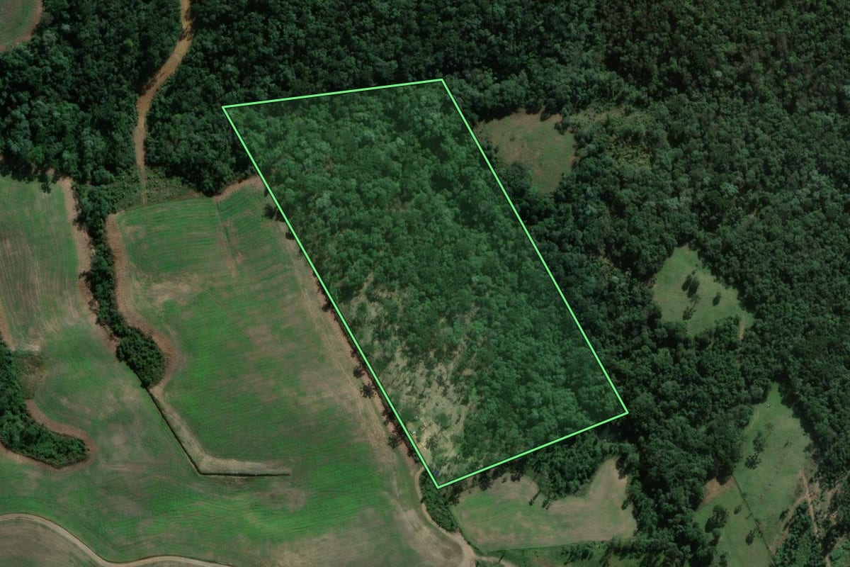 Imagem de satélite do imóvel rural em Fernandes Pinheiro (PR), com o contorno declarado no CAR desenhado por cima.