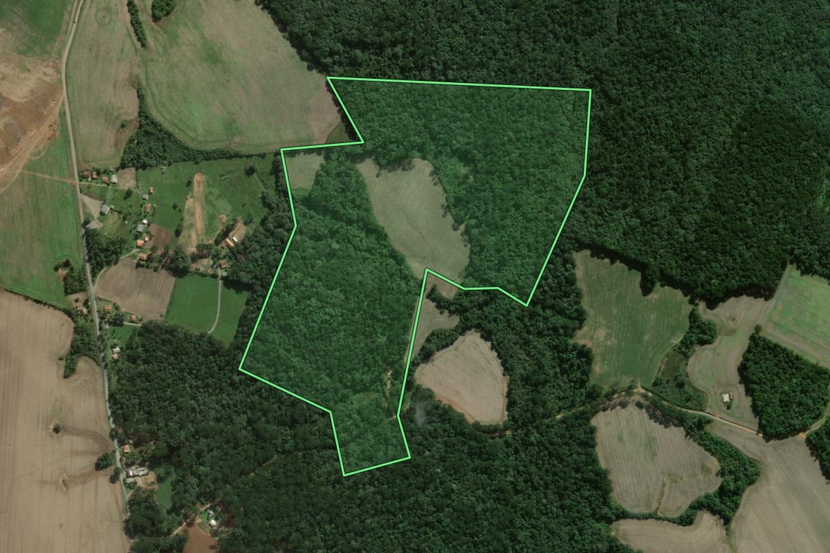 Imagem de satélite do imóvel rural em Fernandes Pinheiro (PR), com o contorno declarado no CAR desenhado por cima.
