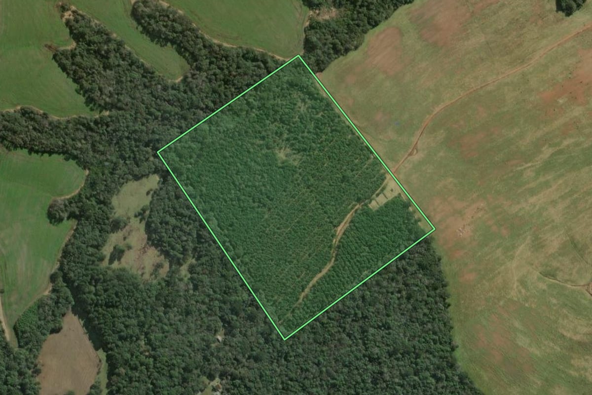 Imagem de satélite do imóvel rural em Fernandes Pinheiro (PR), com o contorno declarado no CAR desenhado por cima.