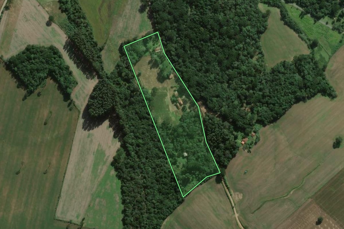 Imagem de satélite do imóvel rural em Fernandes Pinheiro (PR), com o contorno declarado no CAR desenhado por cima.