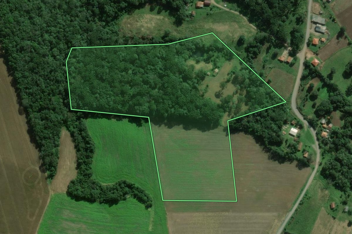 Imagem de satélite do imóvel rural em Fernandes Pinheiro (PR), com o contorno declarado no CAR desenhado por cima.