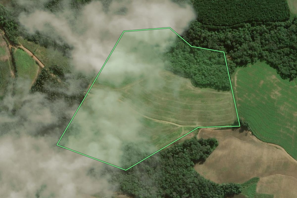 Imagem de satélite do imóvel rural em Fernandes Pinheiro (PR), com o contorno declarado no CAR desenhado por cima.